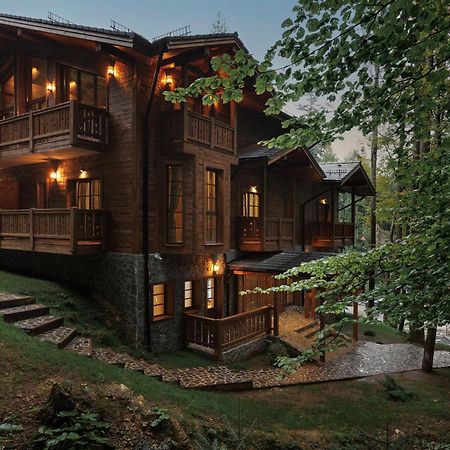 Chalet Royal Sinaia Ngoại thất bức ảnh