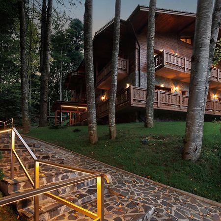 Chalet Royal Sinaia Ngoại thất bức ảnh